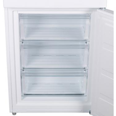 Холодильник Delfa DBFN-200 Фото 5