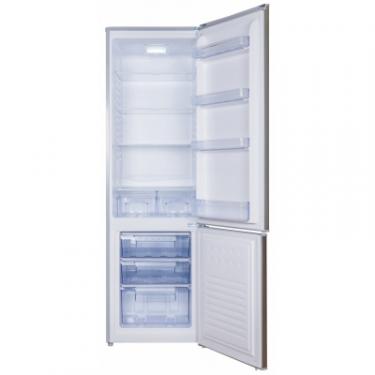 Холодильник Nord HR 239 S Фото 1