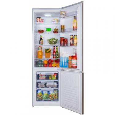 Холодильник Nord HR 239 S Фото 2