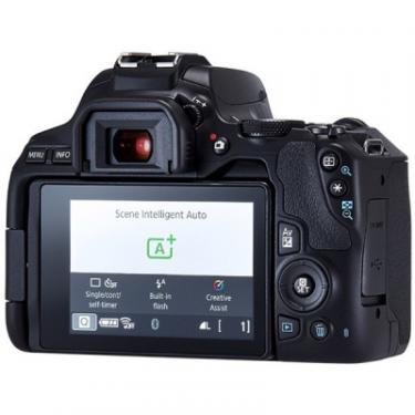 Цифровой фотоаппарат Canon EOS 250D 18-55 DC III Black kit Фото 6
