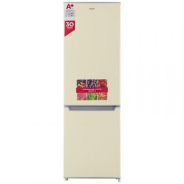 Холодильник Ergo MRF-170 E Фото
