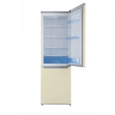 Холодильник Ergo MRF-170 E Фото 1