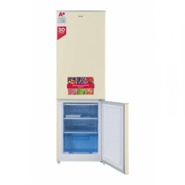 Холодильник Ergo MRF-170 E Фото 2