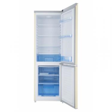 Холодильник Ergo MRF-170 E Фото 3