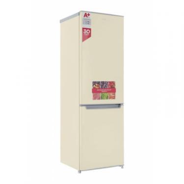 Холодильник Ergo MRF-170 E Фото 4