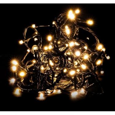 Гирлянда Luca Lighting Змійка з коннектором, 10 м, теплий білий Фото