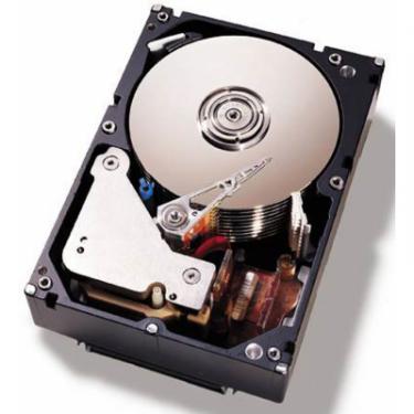 Жесткий диск для сервера IBM 1TB 7.2K SATA 3.5 6Gbps HotSwap Фото