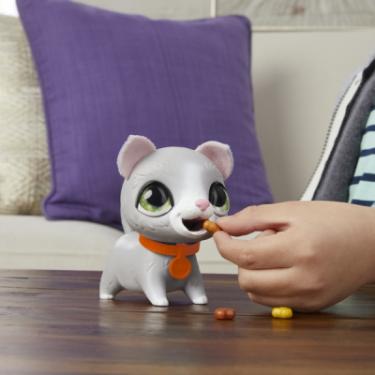 Интерактивная игрушка Hasbro FurReal Friends Маленький шаловливый питомец Котен Фото 5