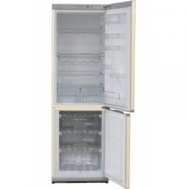 Холодильник Snaige RF58SM-S5DP210 Фото 1