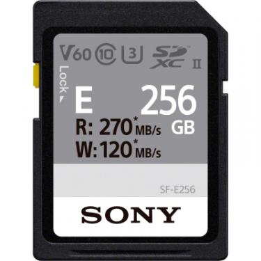 Карта памяти Sony 256GB SDXC class 10 UHS-II U3 V60 Entry Фото