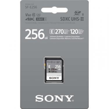 Карта памяти Sony 256GB SDXC class 10 UHS-II U3 V60 Entry Фото 1