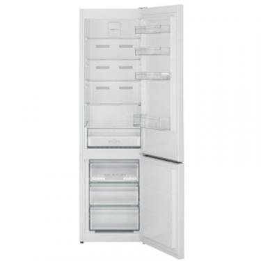 Холодильник Sharp SJ-BA20IMXW1-UA Фото 1