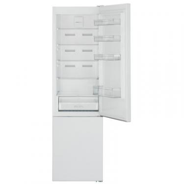 Холодильник Sharp SJ-BA20IMXW1-UA Фото 2