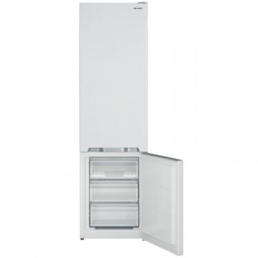 Холодильник Sharp SJ-BA20IMXW1-UA Фото 3