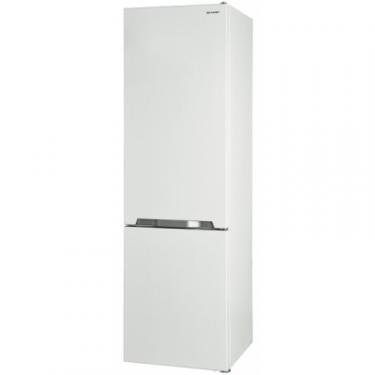 Холодильник Sharp SJ-BA20IMXW1-UA Фото 5