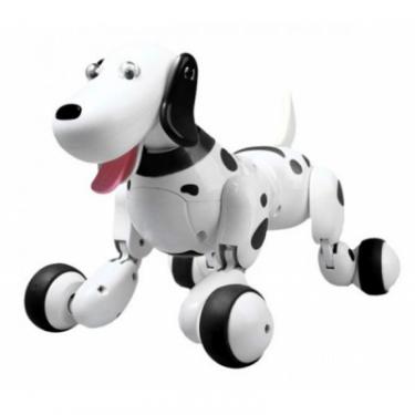 Радиоуправляемая игрушка Happy Cow Робот-собака Smart Dog, бело-черный Фото