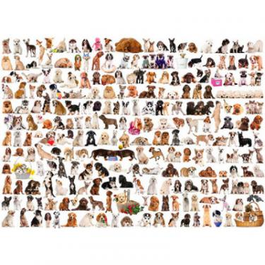 Пазл Eurographics Мир собак, 1000 элементов Фото 1