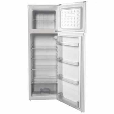 Холодильник Grunhelm TRH-S166M55-W Фото 5