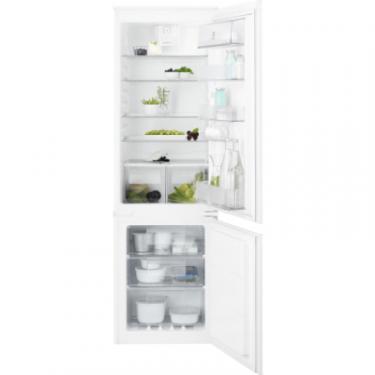 Холодильник Electrolux RNT6TF18S1 Фото