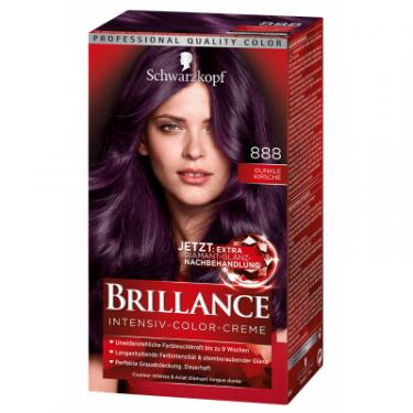 Краска для волос Brillance 888-Тёмная вишня 142.5 мл Фото