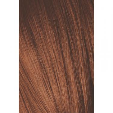 Краска для волос Schwarzkopf Professional Igora Royal 5-7 60 мл Фото 1