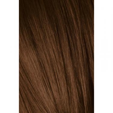 Краска для волос Schwarzkopf Professional Igora Royal Absolutes 5-60 Шоколадный натуральный Фото 1