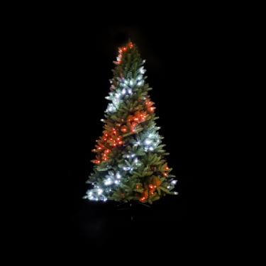 Искусственная елка Twinkly tree Strings RGB 250 Gen II Smart LED попередньо і Фото 5