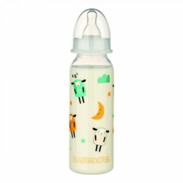 Бутылочка для кормления Baby-Nova Декор пластикова нічна 240 мл Фото