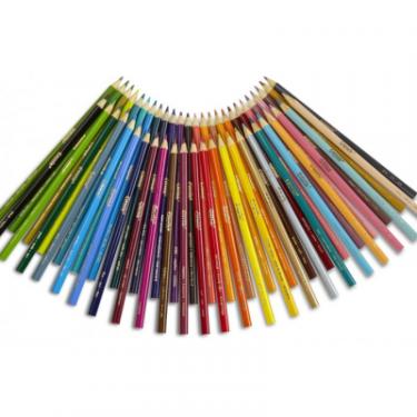 Карандаши цветные Crayola 50 шт Фото 2