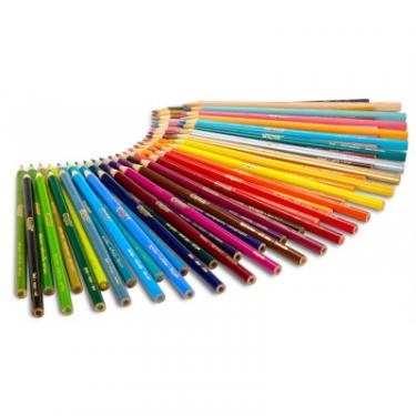 Карандаши цветные Crayola 50 шт Фото 3