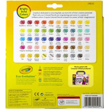 Карандаши цветные Crayola 50 шт Фото 5