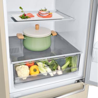 Холодильник LG GW-B509SEKM Фото 6