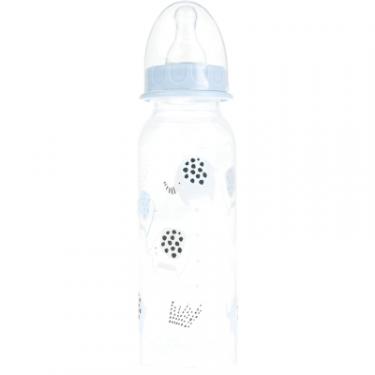Бутылочка для кормления Baby-Nova пластикова Decoration Blue 240 мл Фото