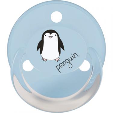 Пустышка Baby-Nova PenguinBear 2 шт Фото