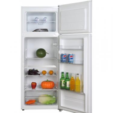 Холодильник Midea MDRТ294FGF02 Фото 3