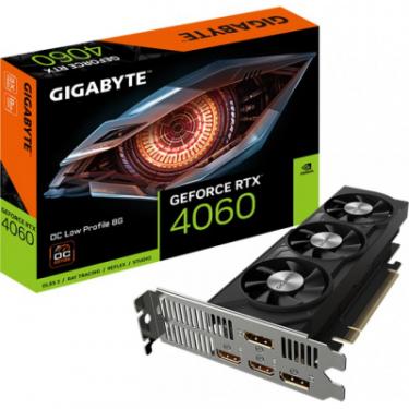 Видеокарта GIGABYTE GeForce RTX4060 8Gb OC Low Profile Фото 1