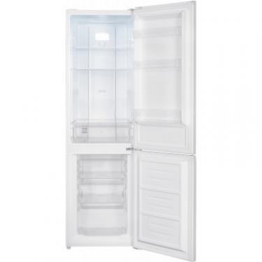 Холодильник Edler ED-323WFD Фото 1