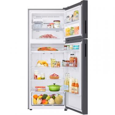 Холодильник Samsung RT42CB662022UA Фото 5