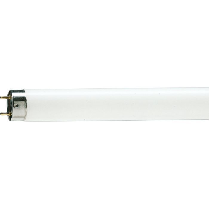 Лампочка Philips TL-D G13 600mm 18W/33-640 1SL/25 Фото