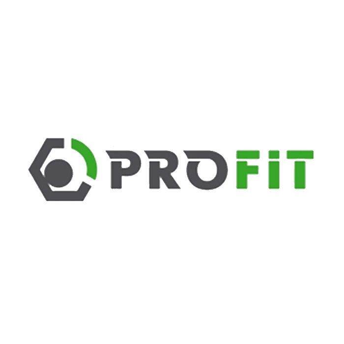 Воздушный фильтр для автомобиля Profit 1512-3067 Фото