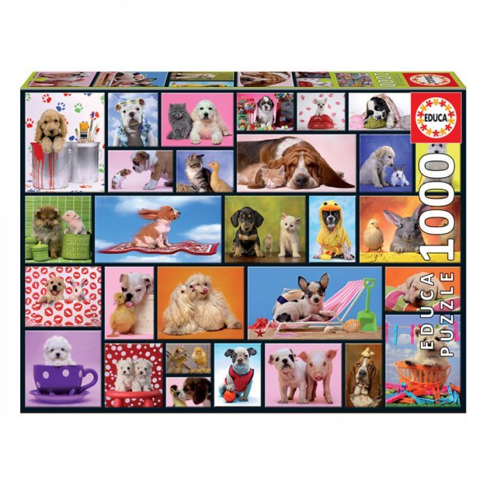 Пазл Educa Загальні моменти 1000 елементів Фото