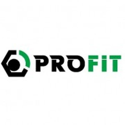 Воздушный фильтр для автомобиля Profit 1512-4283 Фото