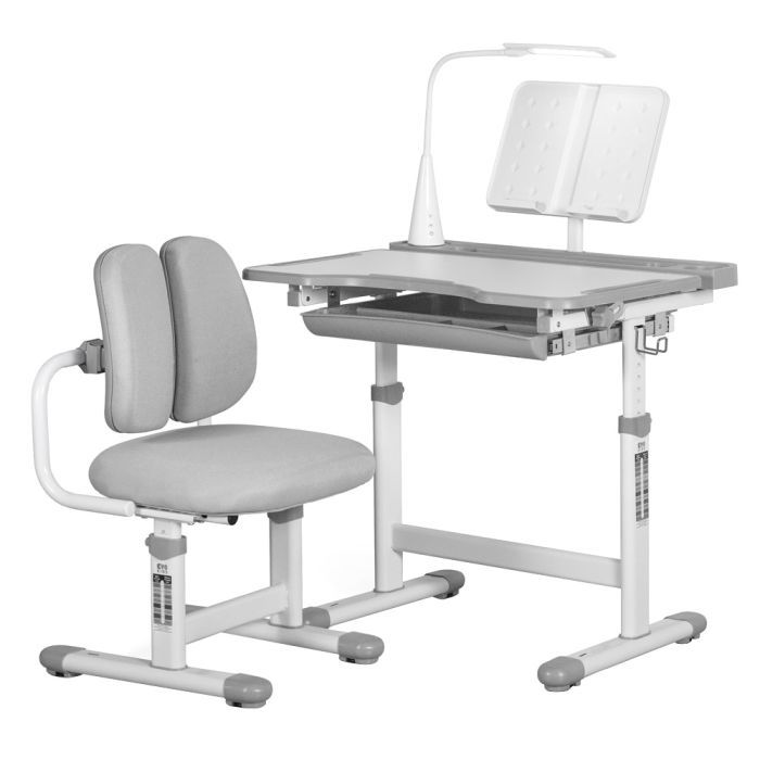 Парта со стулом Evo-kids BD-23 G Фото