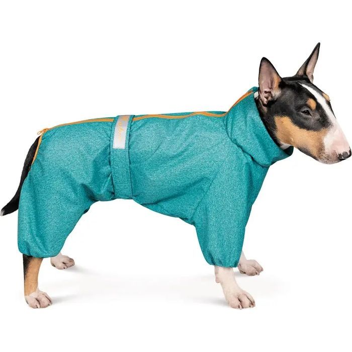 Комбинезон для животных Pet Fashion "RAIN" XL (бирюзовый) Фото