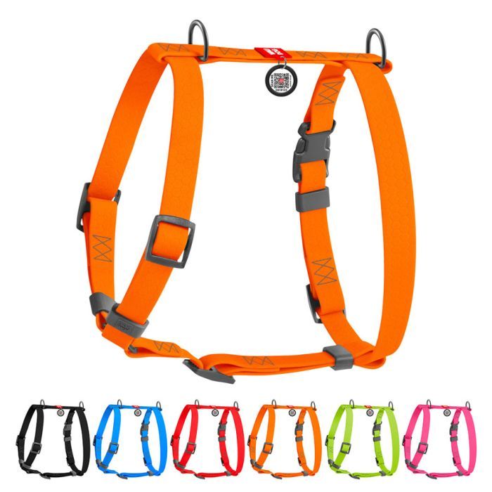 Шлей для собак WAUDOG Waterproof Н-образная анатомическая М оранжевая Фото