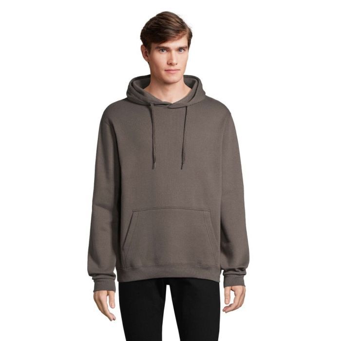 Худи Sol's Snake темно-сірий S Фото