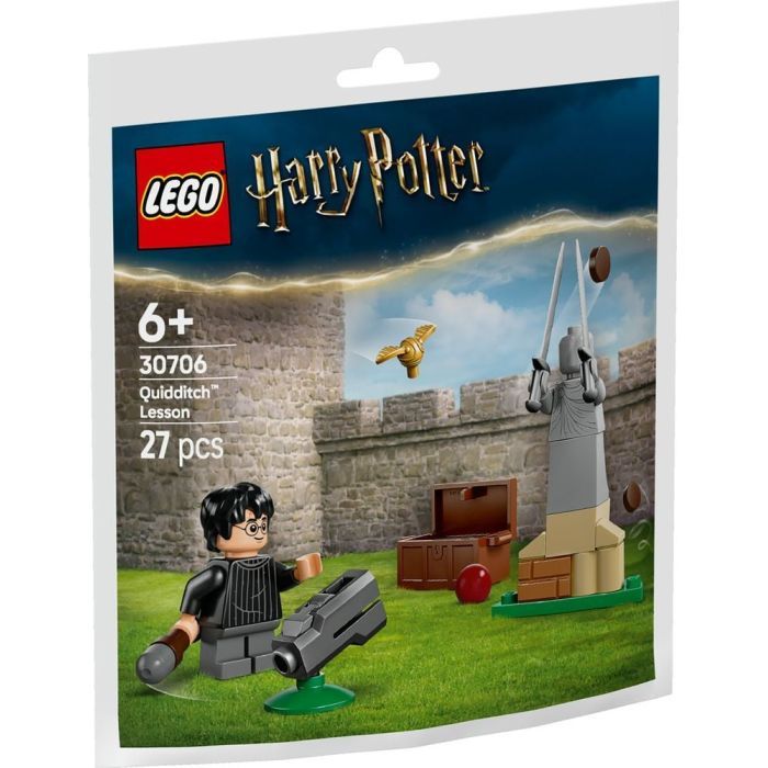 Конструктор LEGO Harry Potter Урок по квиддичу Фото