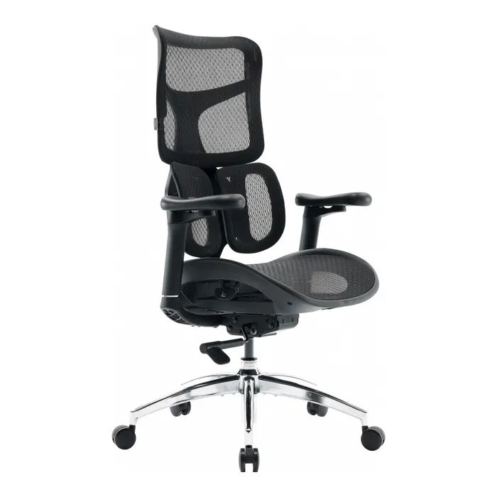 Офисное кресло Sihoo DORO S100 Mesh Black Фото