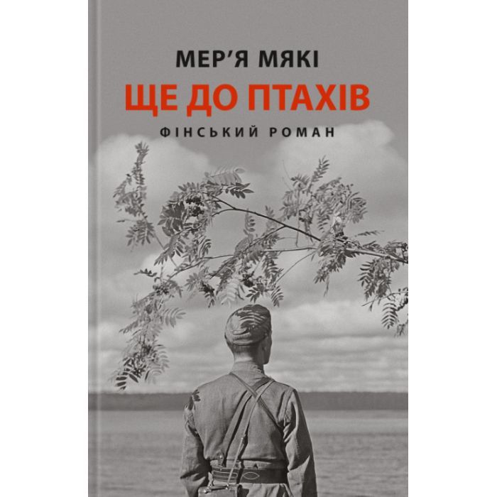 Книга Астролябія Ще до птахів - Мер'я Мякі Фото